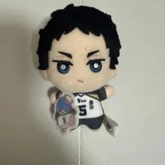 ハイキュー　ぬいぐるみ　赤葦　サンリオのサムネイル