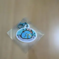 ナガノ ウミウシ アクリルチャーム
