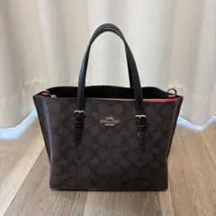 COACH ブラウン/ブラック/レッド