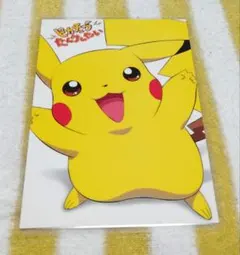 ポケモン ピカチュウ たんけんたい ポストカード ラミネート加工済