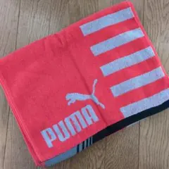 Item thumbnail for item d04b220e-523e-40ed-aeb3-3c24bf7ab2d3