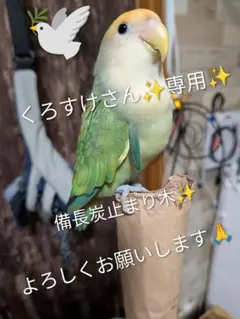 備長炭止まり木⭐️パーチ⭐️止まり木⭐️専用です(*゜∀゜*) - メルカリ