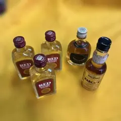 ミニチュアボトル11本セット ニッカウヰスキー ミニチュア セット NIKKA WHISKY Miniature Set |