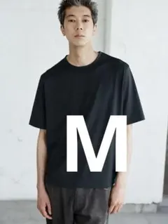 LIDNM】Wool Jersey Henley L/S Tee サイズS - メルカリ