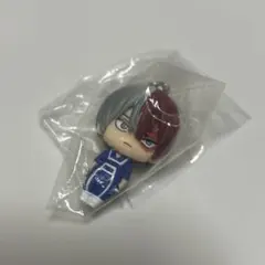 카라코레 마이 히어로 아카데미아 토도로키 코토