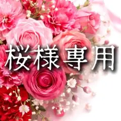 桜様 リクエスト 2点 まとめ商品