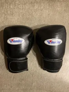 Item thumbnail for item ef7b16de-d454-4834-8dd0-83632b84fb23