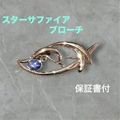 Item thumbnail for item c7314676-6823-435a-81e5-559ac8c47c42