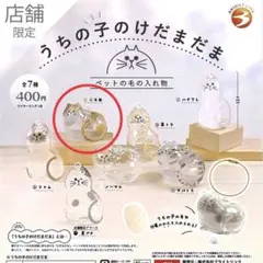 うちの子のけだまだま　三毛猫　正規品