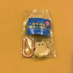猫原商店の愉快な仲間たち まめねこ