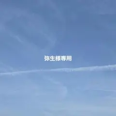 弥生様専用ページ