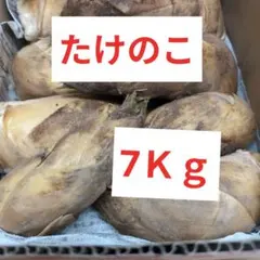 13時〆切 9日発送 激安 掘りたてたけのこ17㎏ ぬか付 静岡県産 - メルカリ