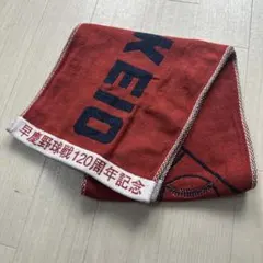 Item thumbnail for item 88ae29b7-7228-48e2-b9c4-1d7388c2ca52