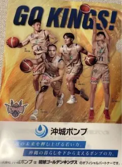 すぐ発送⭐︎琉球ゴールデンキングス ファイル