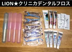 LIONライオン★クリニカデンタルフロス＆システマハグキプラスナイトケアジェル他のサムネイル