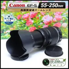 【手ブレ補正】Canon EF-S 55-250mm 望遠レンズのサムネイル