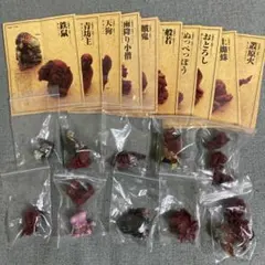 Item thumbnail for item 6a5dadb9-272a-4cd9-a1d8-6ef91883d6bc