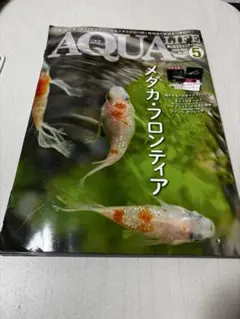 AQUA LIFE 5月号 メダカ特集
