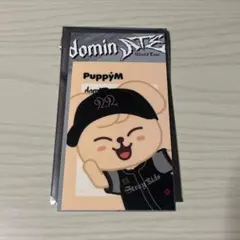 straykids エコパスタジアム　シャトルバス特典ステッカー　スンミン