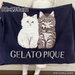 2026年最新】catジャガードブランケットの人気アイテム - メルカリ