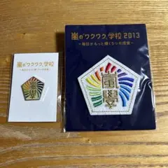 嵐　ワクワク学校　バッジ2点セット