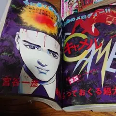 2026年最新】宮谷一彦の人気アイテム - メルカリ