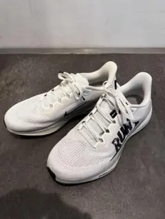 NIKE ペガサス41 26cm