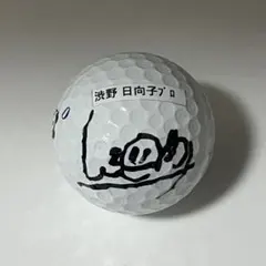 渋野日向子 直筆サイン入り トラベルカバー 2025年最新】渋野日向子サインの人気アイテム - メルカリ