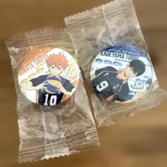 ハイキュー　くら寿司　ビッくらポン　日向翔陽　影山飛雄　缶バッジ