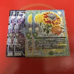 マリゴルド　ヨミジ　各2枚