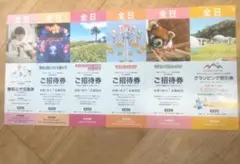 2026年最新】株主優待 伊豆シャボテンリゾートの人気アイテム - メルカリ