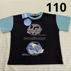 Item thumbnail for item 9823e942-7b1d-4466-893a-2b9bf09bfb29