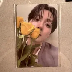 サンウォントレカ【Afterjourney展展】