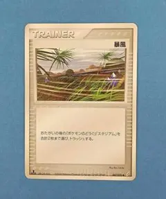 2026年最新】暴風 ポケモンカードの人気アイテム - メルカリ