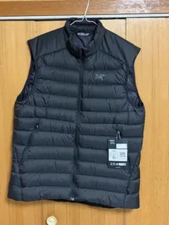 2026年最新】ARC'TERYX メンズ ダウンベスト・キルティングベストの