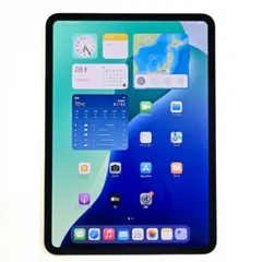 iPad Pro M4 11インチ 256GB Wi-Fi 100% 美品