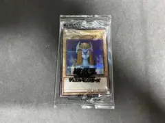 PSA10 ホーリーエルフ ブルシク ブルーシークレット PSA10 ホーリーエルフ ブルシク ブルーシークレット 2025年最新