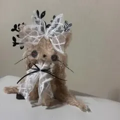 猫兎