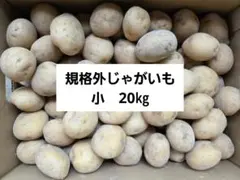 大特価！長崎県産規格外じゃがいも小　20㎏のサムネイル