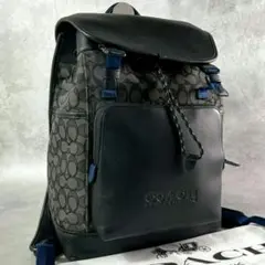 大人気✨️】COACH シグネチャー バックパック C8183 B4/DE - メルカリ