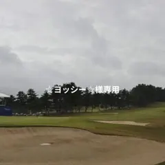 ☆ヨッシー☆様専用