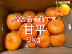 (^_^)様専用です。