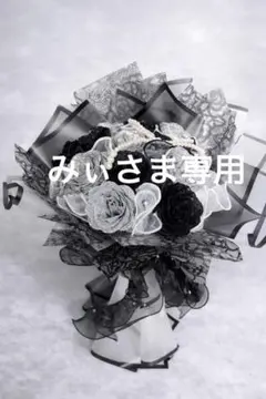 みぃさま専用ページ