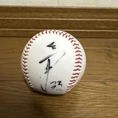 Item thumbnail for item 1c89bf13-ffe1-43cd-ad8b-5184a67fb2dd