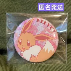 2026年最新】イーブイコレクション ピンズの人気アイテム - メルカリ