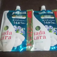 ハダカラ 液体ボディソープ リッチソープの香り 詰替 800ml×2袋　ライオンのサムネイル