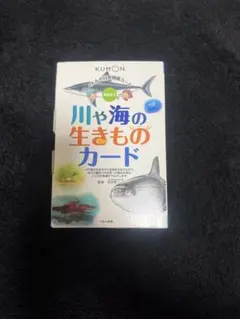 ミー様 リクエスト 4点 まとめ商品