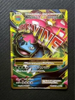 ポケモンカード　フシギバナEX SR・カメックスEX SR　XY　まとめ売り ポケモンカード XY フシギバナEX SR PSA10 20thの通販 FU