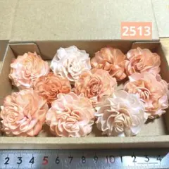 ソラフラワー　2513