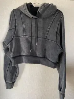 JEANASIS グレー クロップドフードパーカー